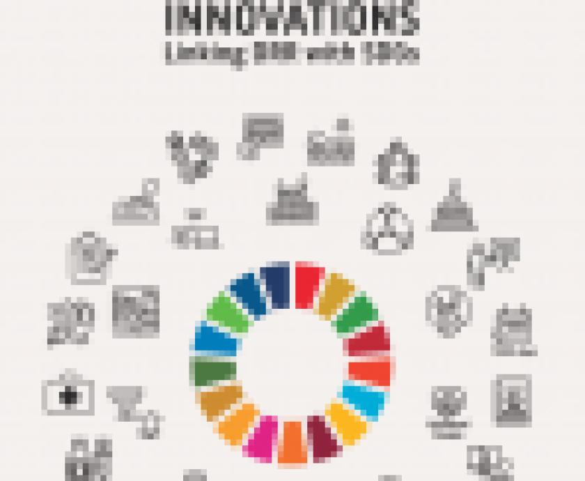 1476753-n30_innovations_linking_DRR_with_SDGs__final_