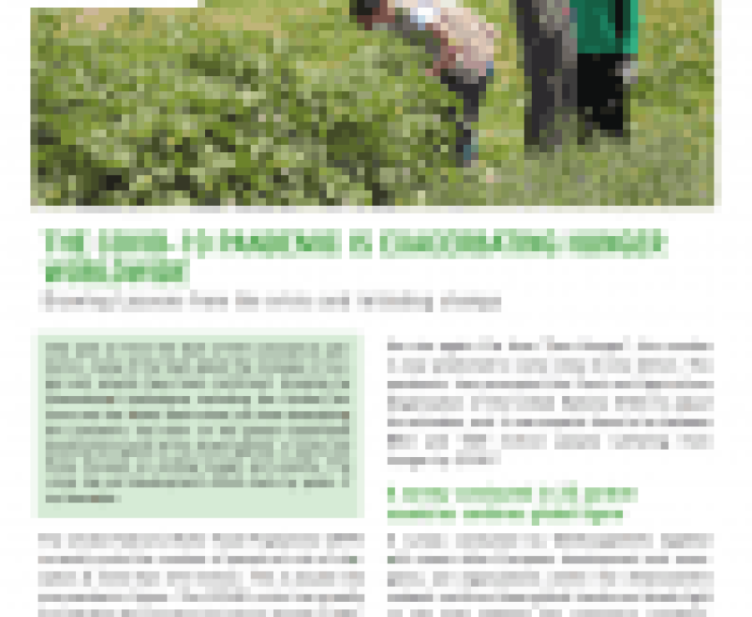 1562305-2021-covid-19-policy-brief-en