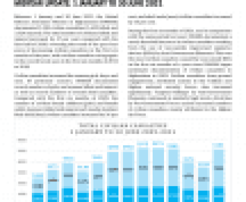 1576150-unama_poc_midyear_report_2021_26_july